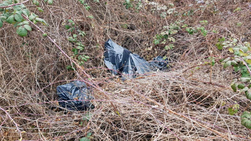 Müll im Landschaftsschutzgebiet. Abbildung 4: Plastikplanen im Gebüsch.