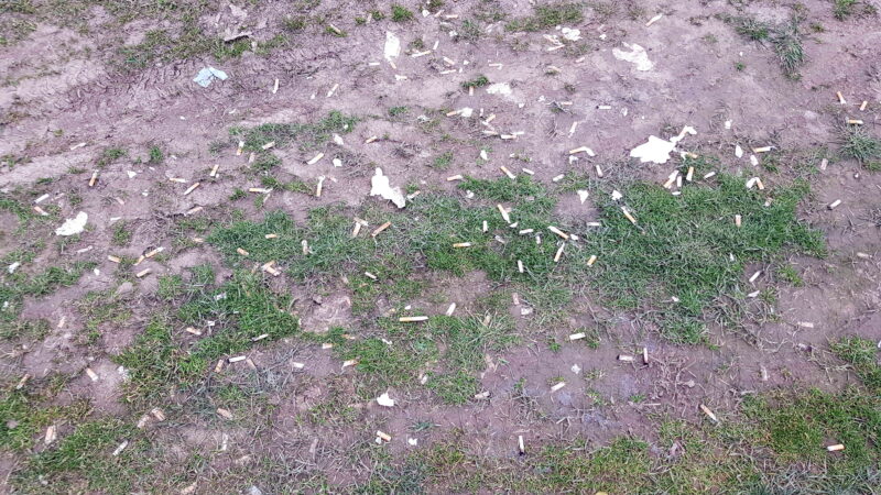 Müll im Landschaftsschutzgebiet. Abbildung 5: Zigarettenkippen auf dem Boden.